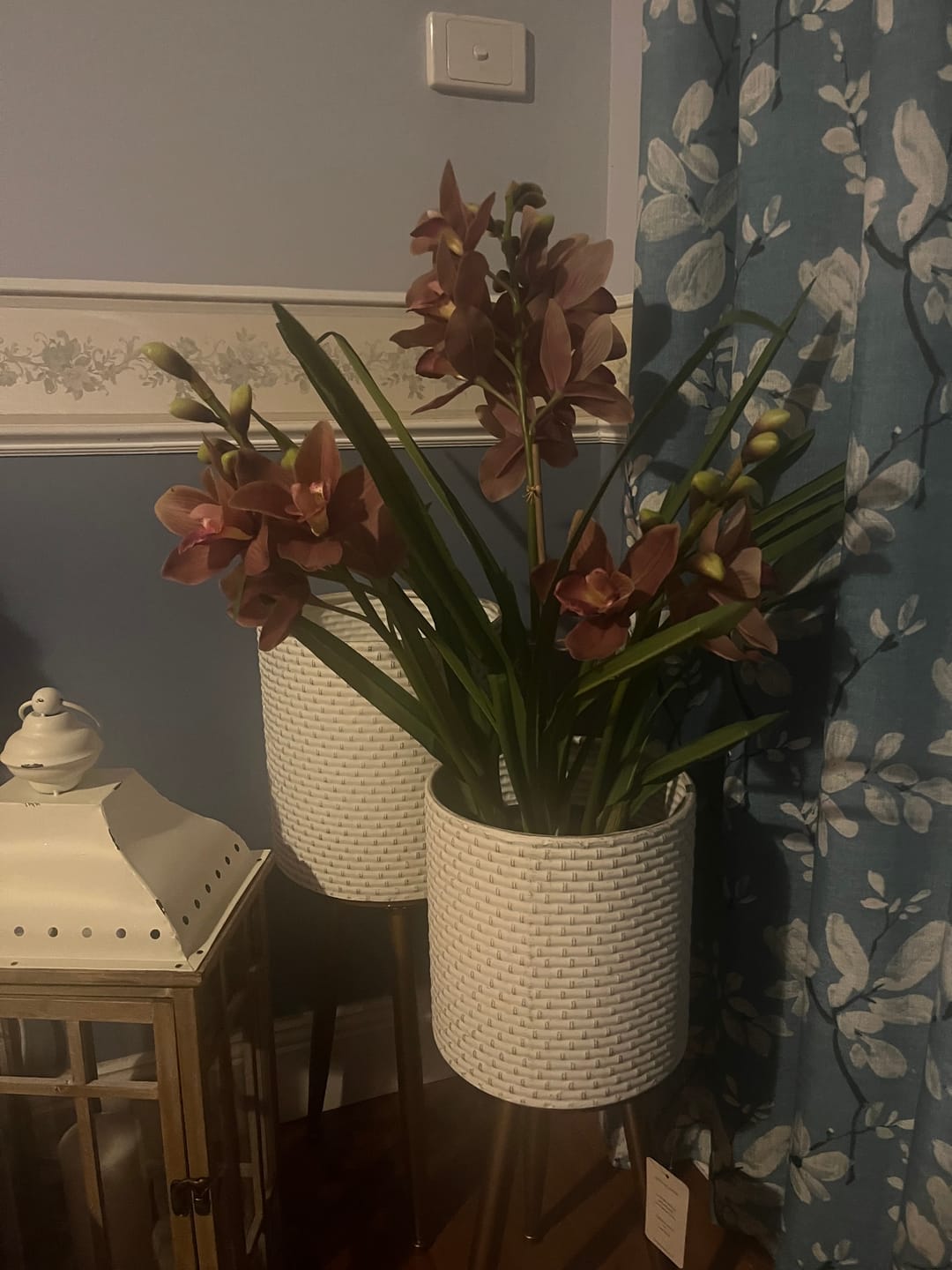 Customer photo review of Fiora Planter Set of 2 on Gold Tripod Legs, White Pin-Dot 70cm and 60cm