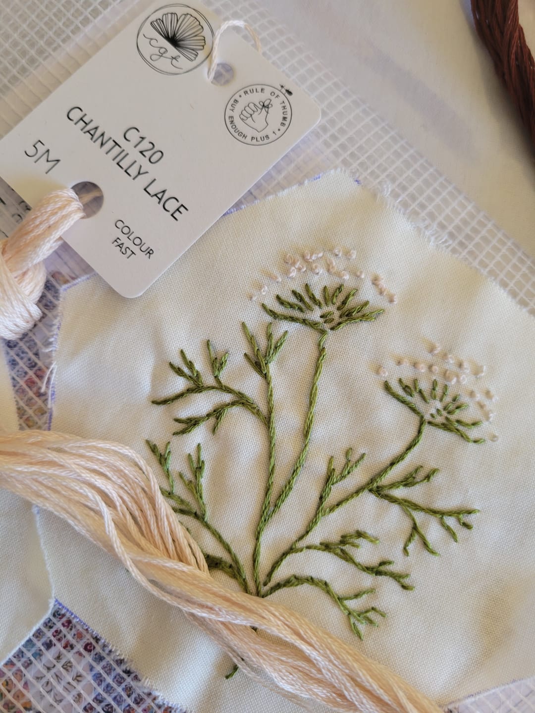Customer photo review of C120 CHANTILLY LACE