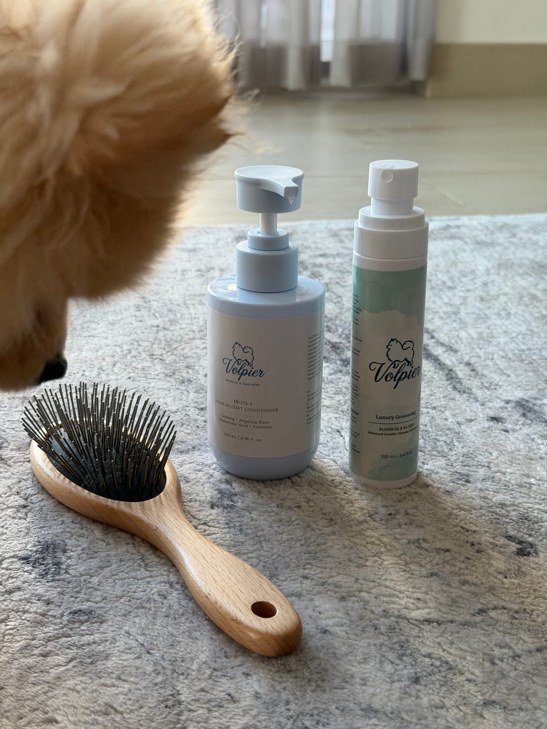 Customer photo review of Volpier Elixir™ | Advanced Dermatological Lotion for BSD, Alopecia X and Coat Regeneration