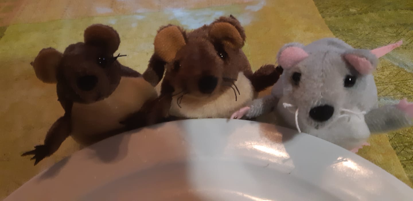 Customer photo review of Souris gris Marionnette