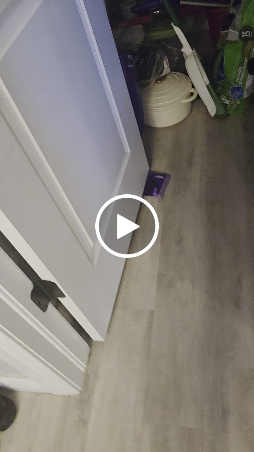 Customer video review of Whey Protein Powder Bucket