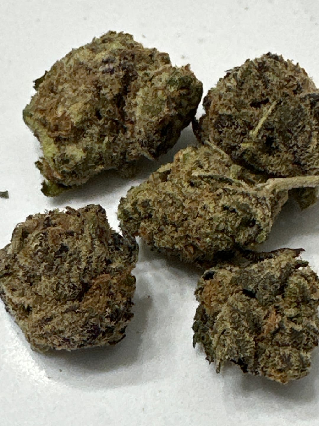 Customer photo review of Blueberry Pancake | Premium| Hybrid