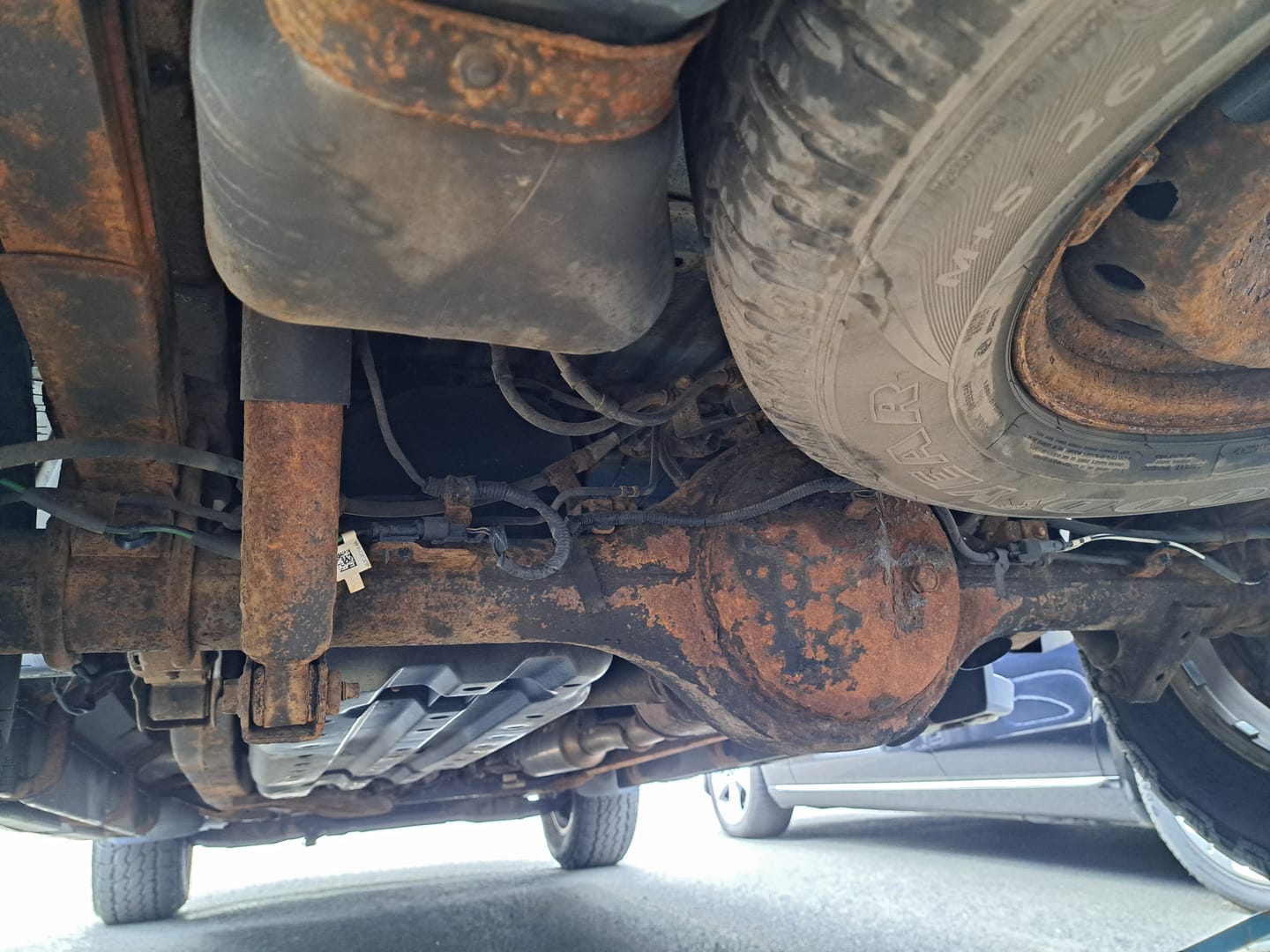 Customer photo review of 4x4 Rust Shield