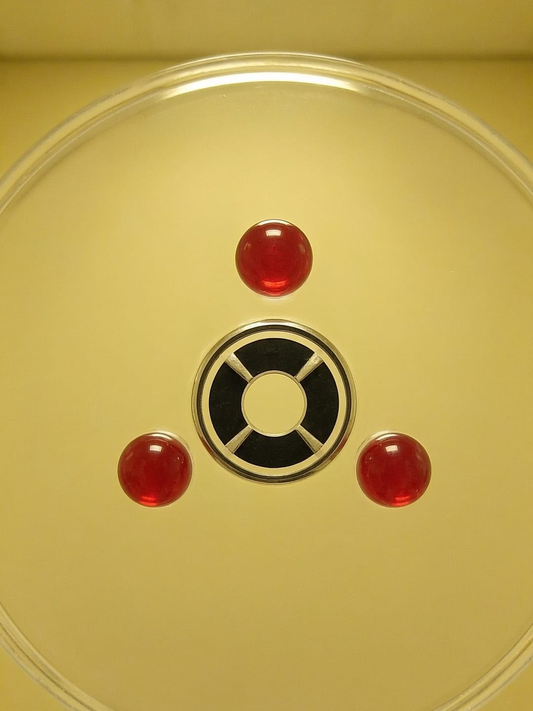 Customer photo review of Kiba Count Sperm Counting Chamber