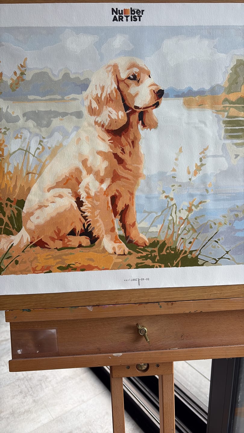 Customer photo review of Lake Spaniel