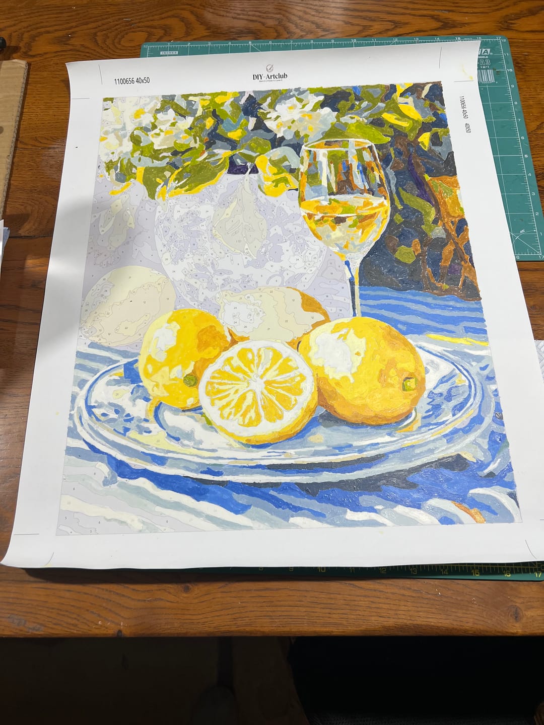 Customer photo review of Lemons and Wine | Paint by Numbers