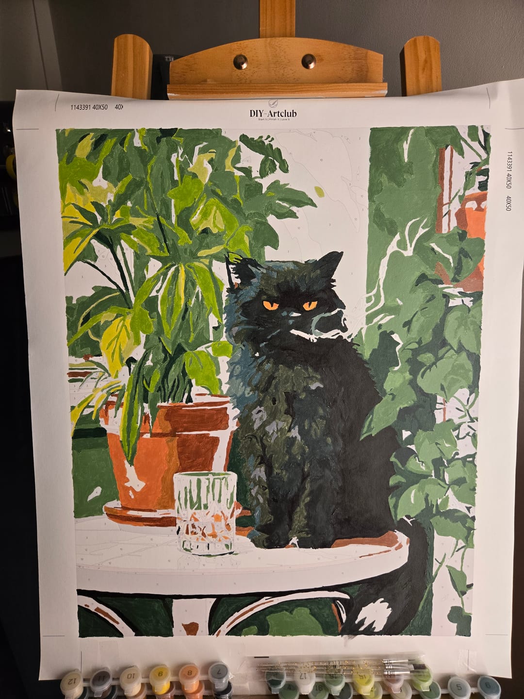 Customer photo review of Grumpy cat | Paint by Number