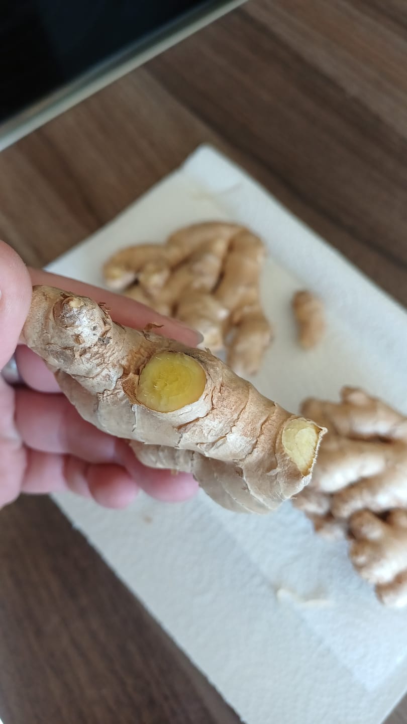 Customer photo review of Ingwer Bio aus Peru (mit Schale verwertbar) Aktionspreis %