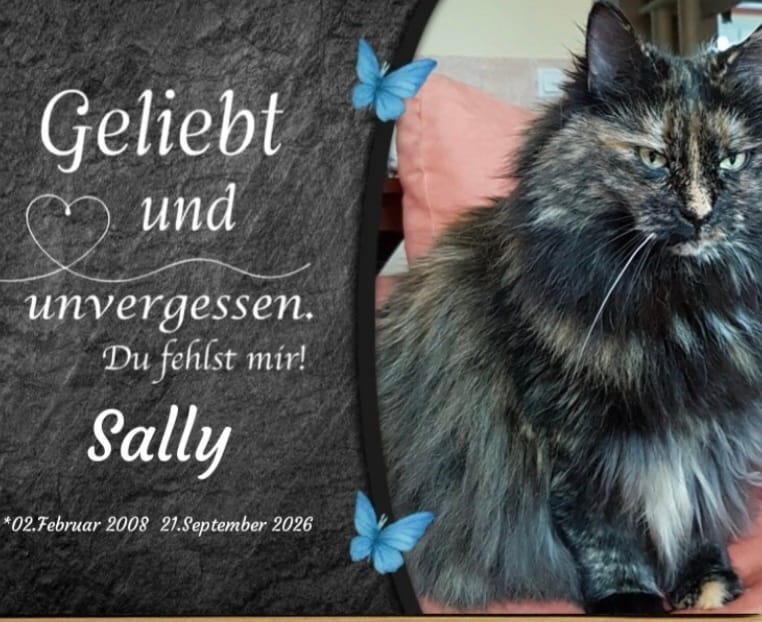Customer photo review of Hunde Gedenktafel mit Foto & Spruch (UV- & Wetterfest)