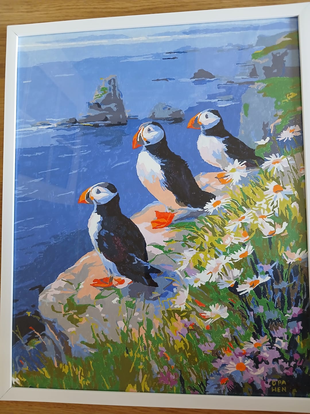 Customer photo review of Couple d'oiseaux bleus