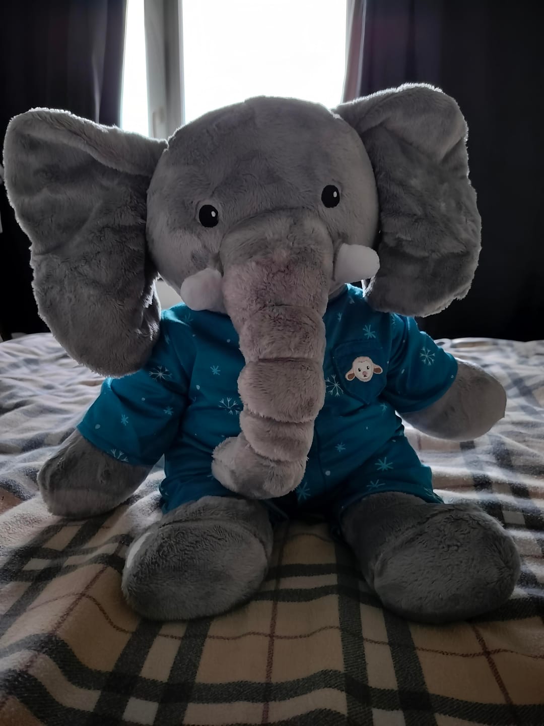 Customer photo review of Lotgenootje Olifant 2kg