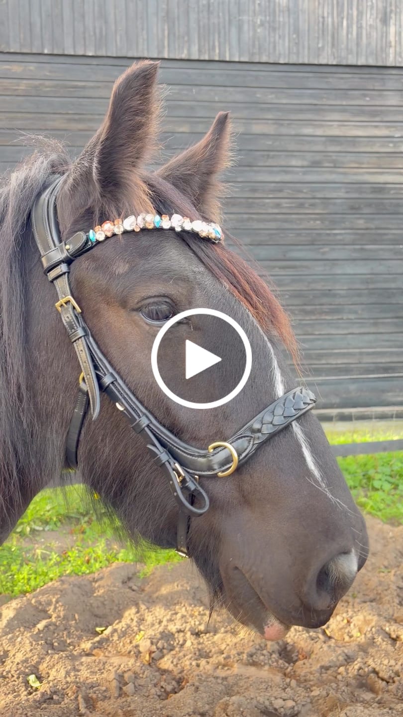 Customer video review of Ania browband