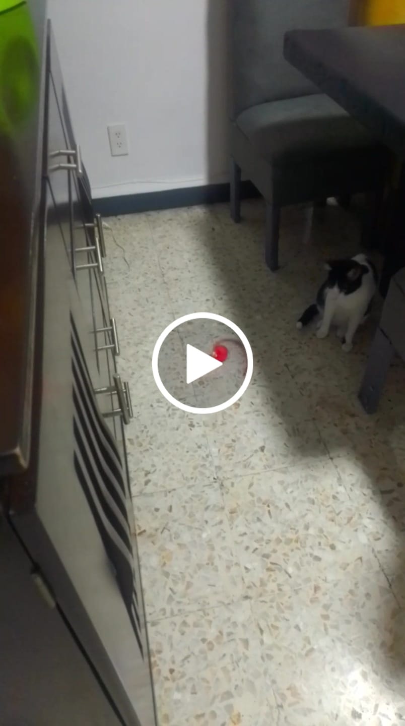Customer video review of CT1701 1 Pieza de Juguete Pelota Inteligente Recargable Para Mascota