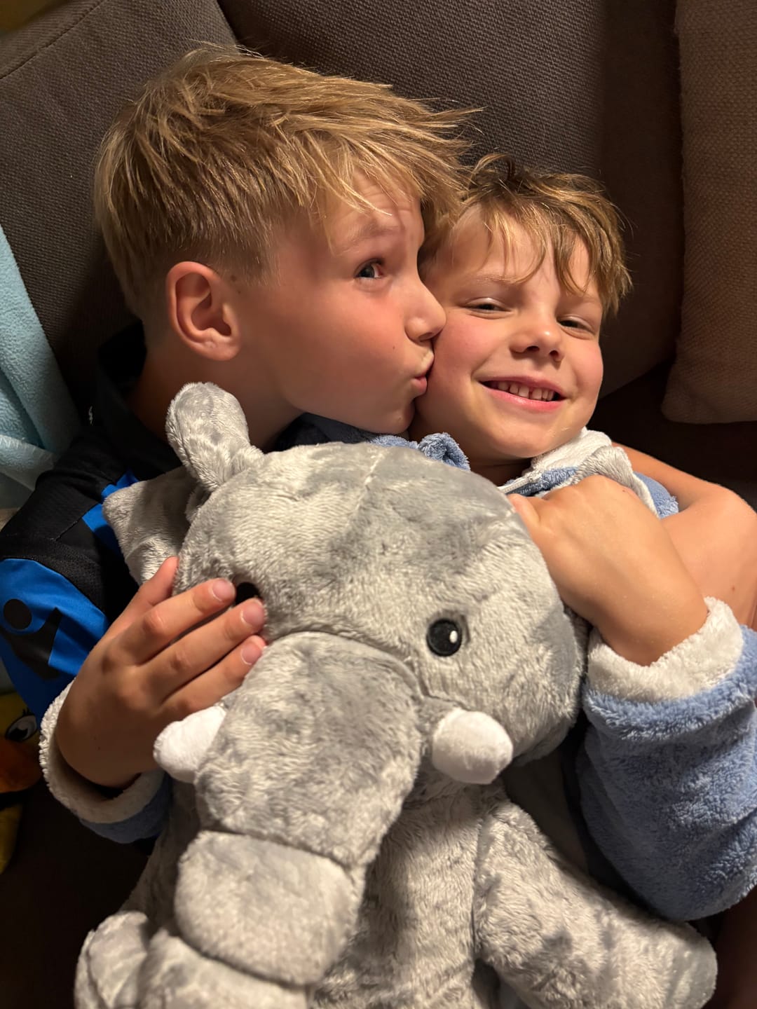 Customer photo review of Lotgenootje Olifant 2kg