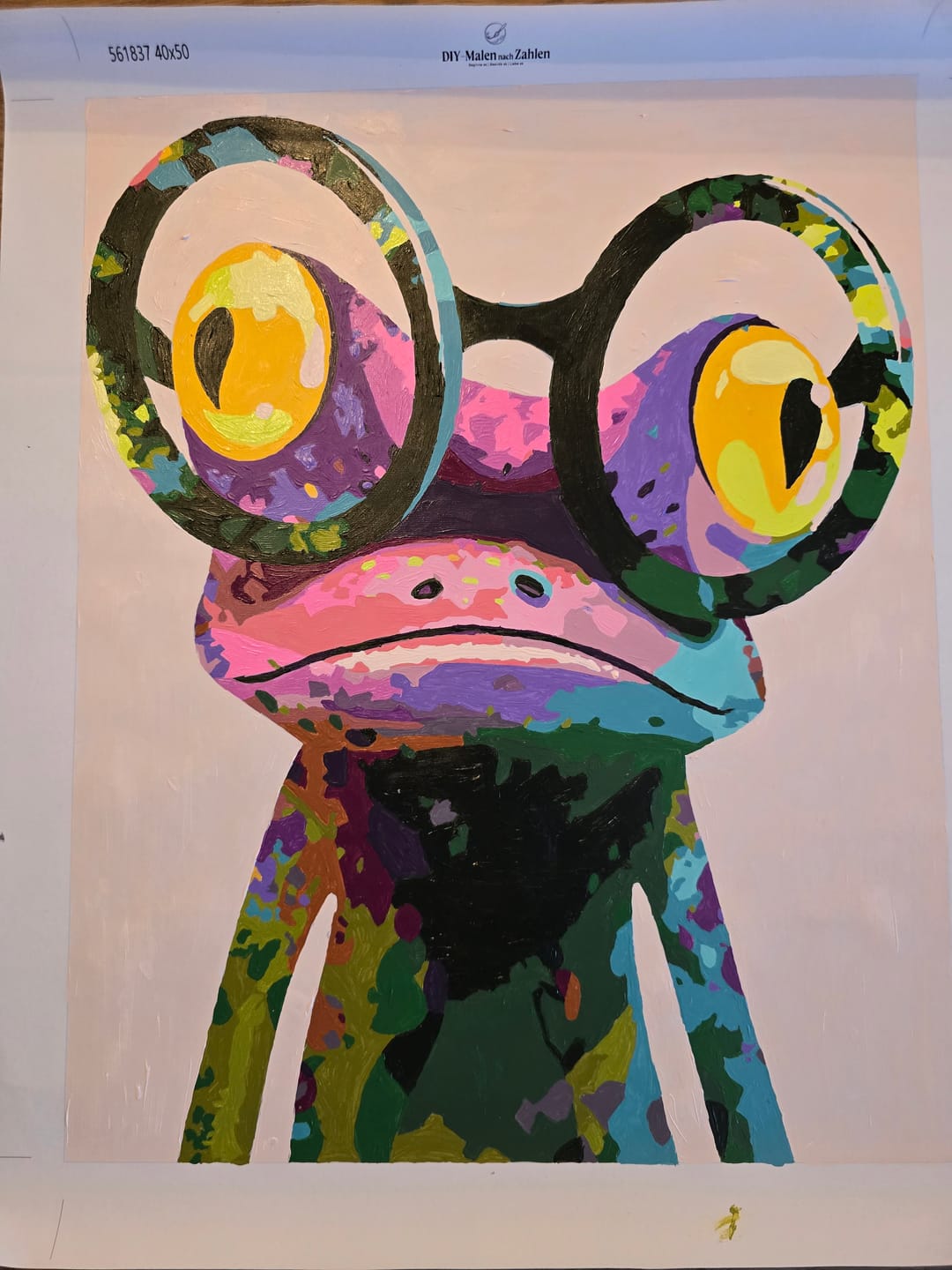 Customer photo review of Malen nach Zahlen - Fröhlicher Frosch