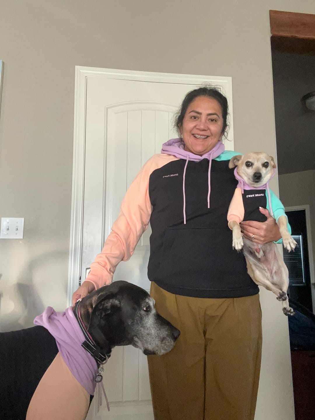 Customer photo review of Color Block Dog Hoodies