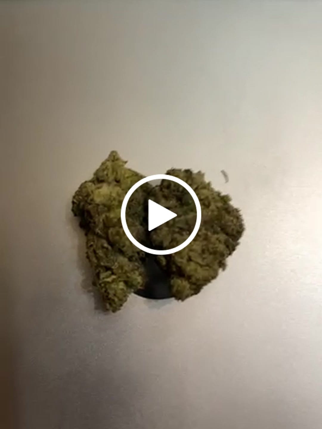 Customer video review of White Gushers - Bulk - Hybrid