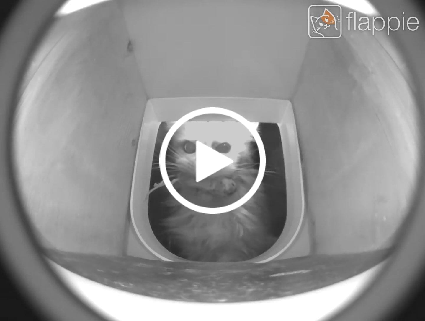 Customer video review of Flappie®