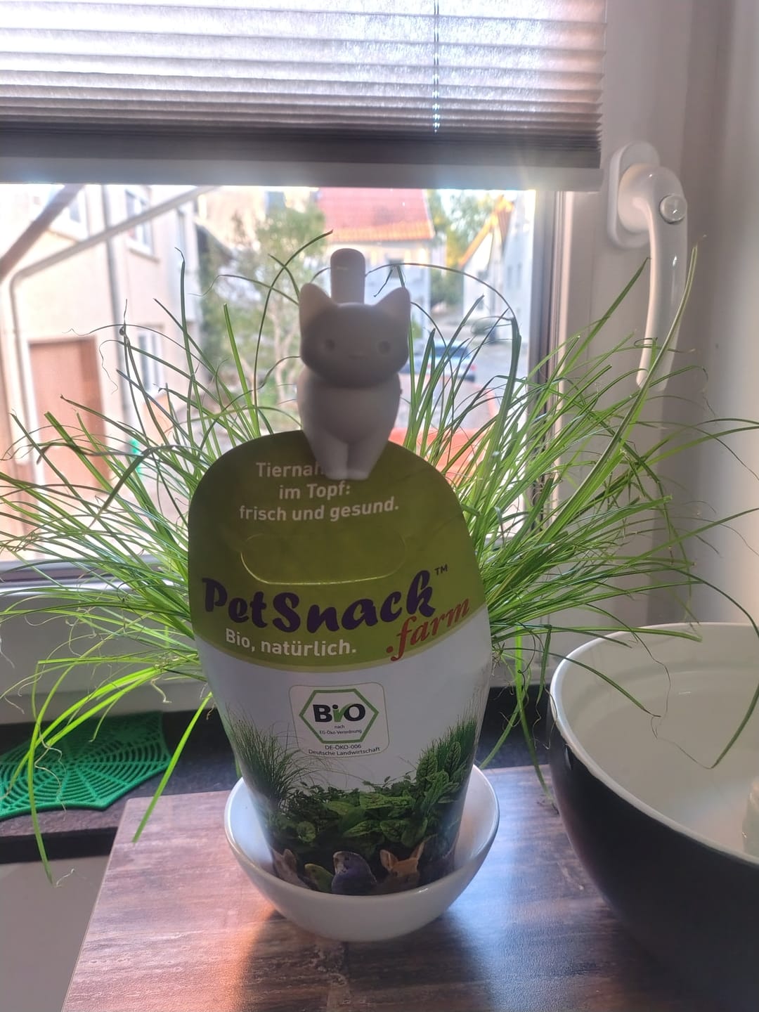 Customer photo review of Kleine Katzen als Tütenwächter OTOTO CatSnap