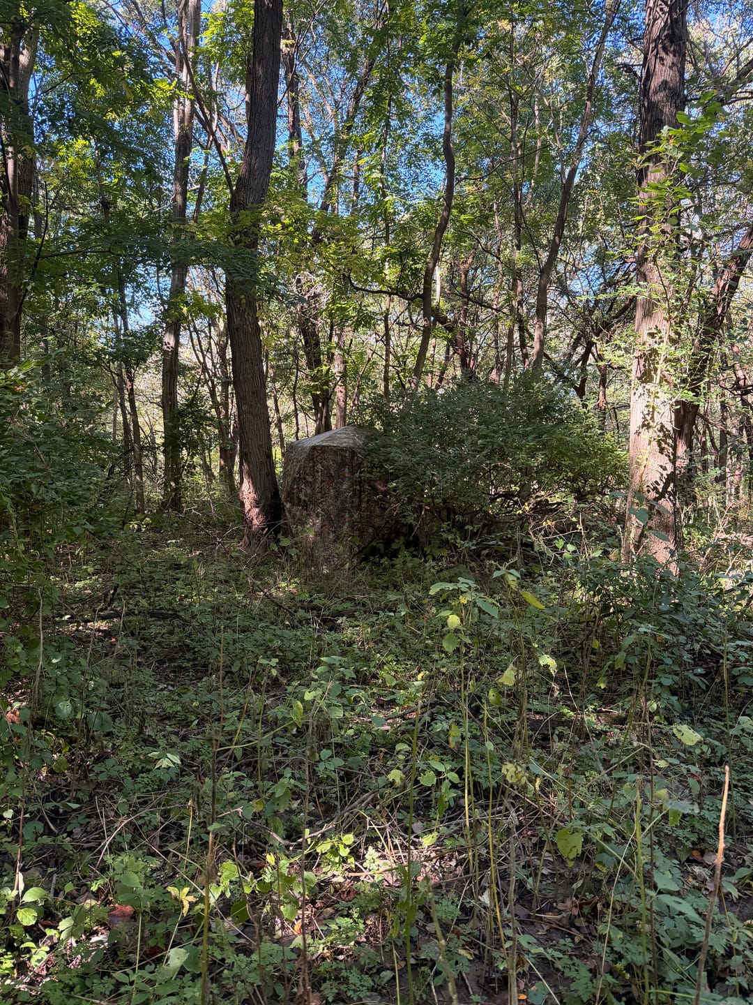 Customer photo review of VisTall 360 See-Through Ground Blind | 75-Inch 3 Person Pop Up Deer Blind with No-Trip Door | Portable Camo Hunting Blind with Blackout Curtain for Whitetail Deer Hunting