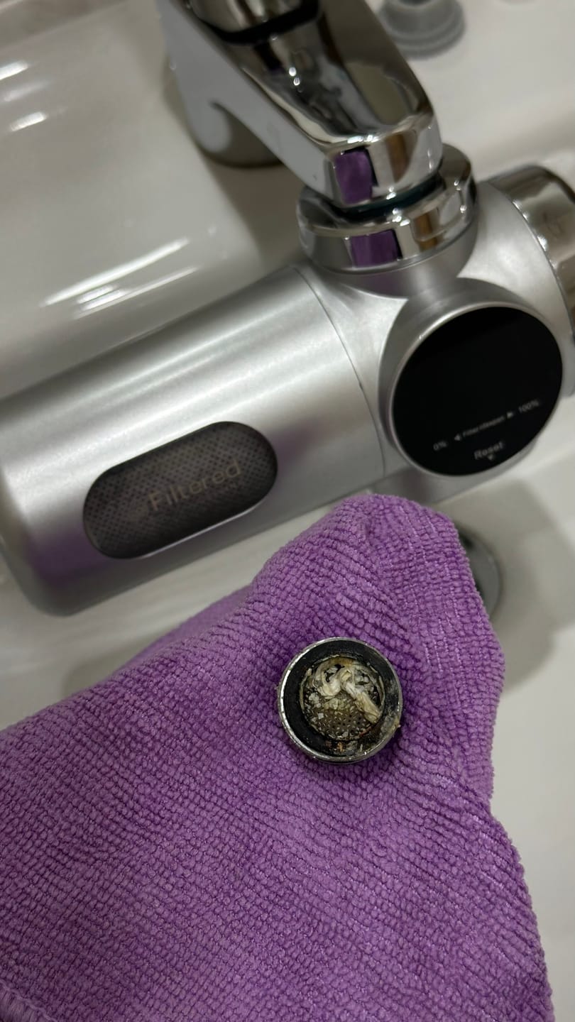 Customer photo review of Tap Fixture - Silver