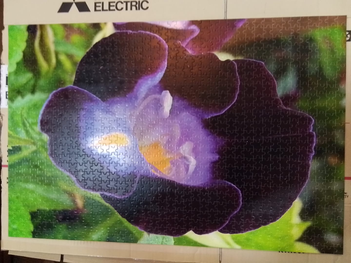 Customer photo review of Turn Your Favorite Photo Into a Custom Puzzle