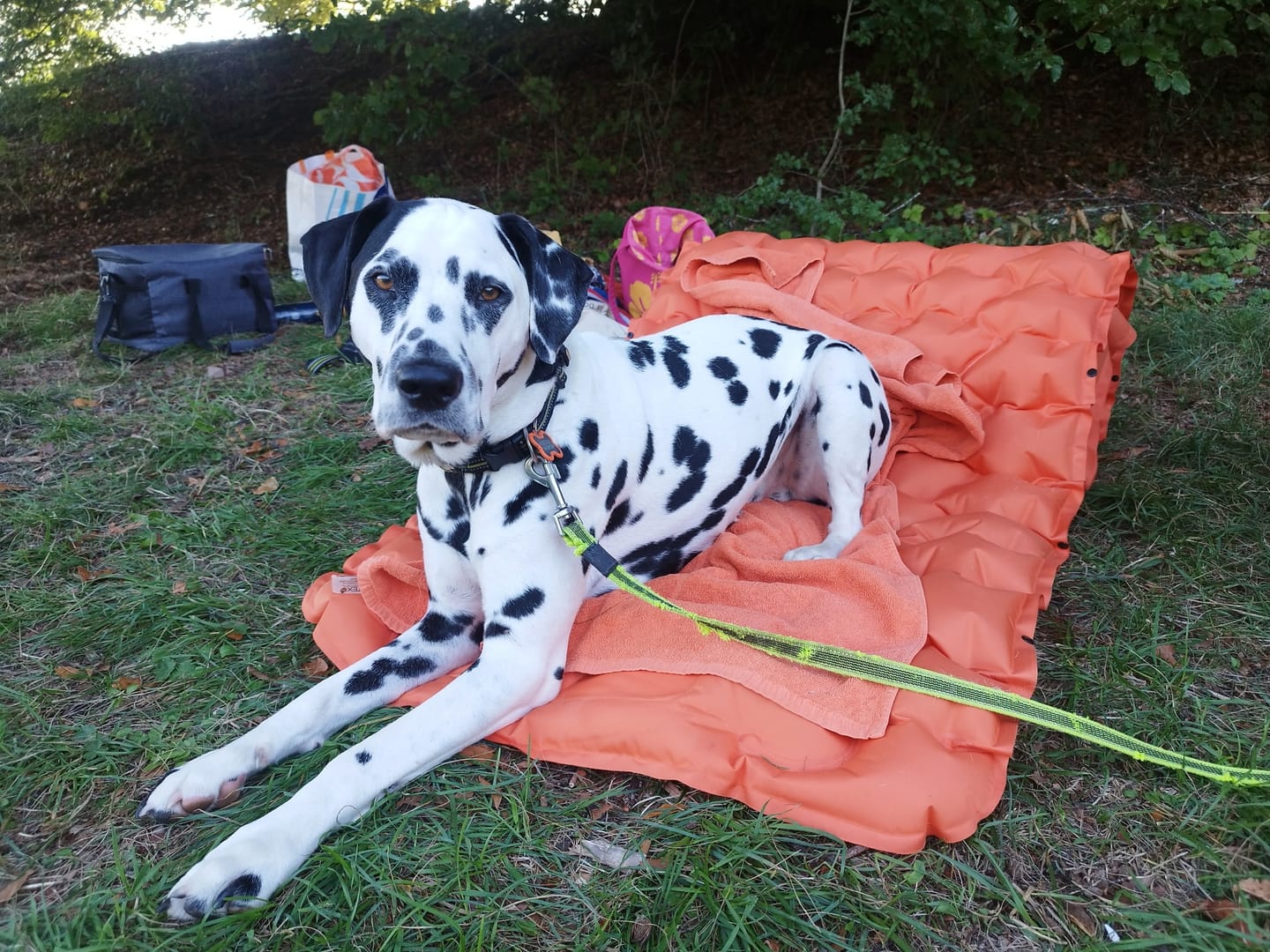 Customer photo review of Matelas gonflable Coziya®
