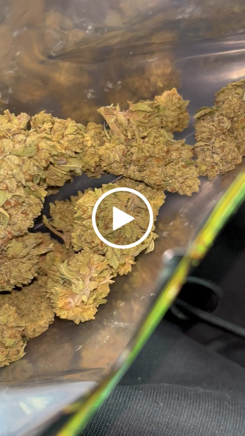 Customer video review of Light Assist THCA Smalls