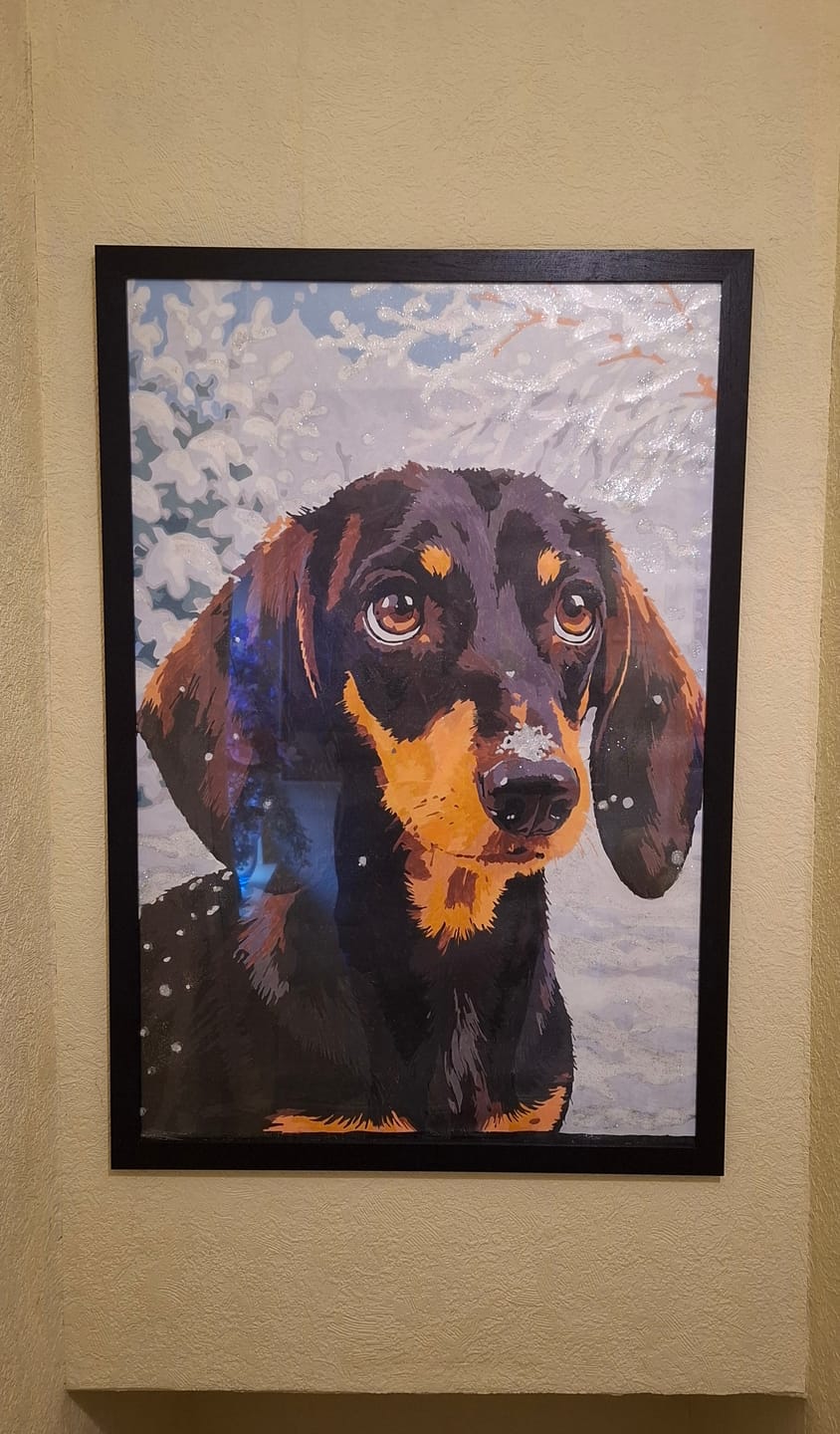 Customer photo review of Portrait de teckel en Hiver