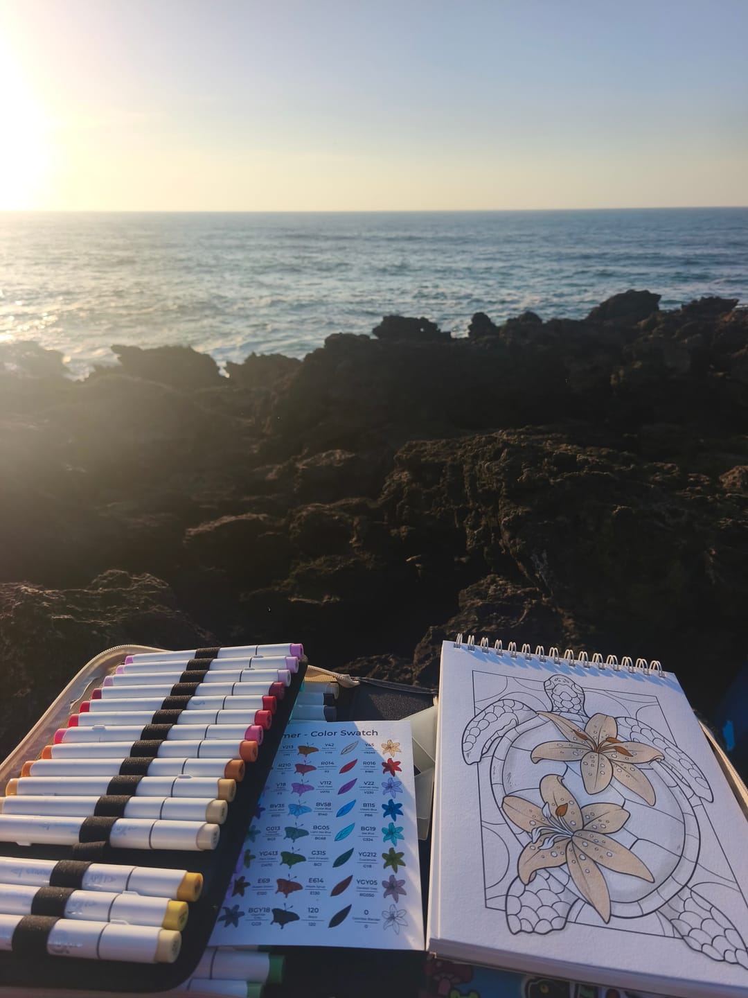 Customer photo review of Ohuhu x Jade Summer Alcohol Markers & Coloring Book Set, 48 Colors, Honolulu B, Brush & Fine Dual Tips