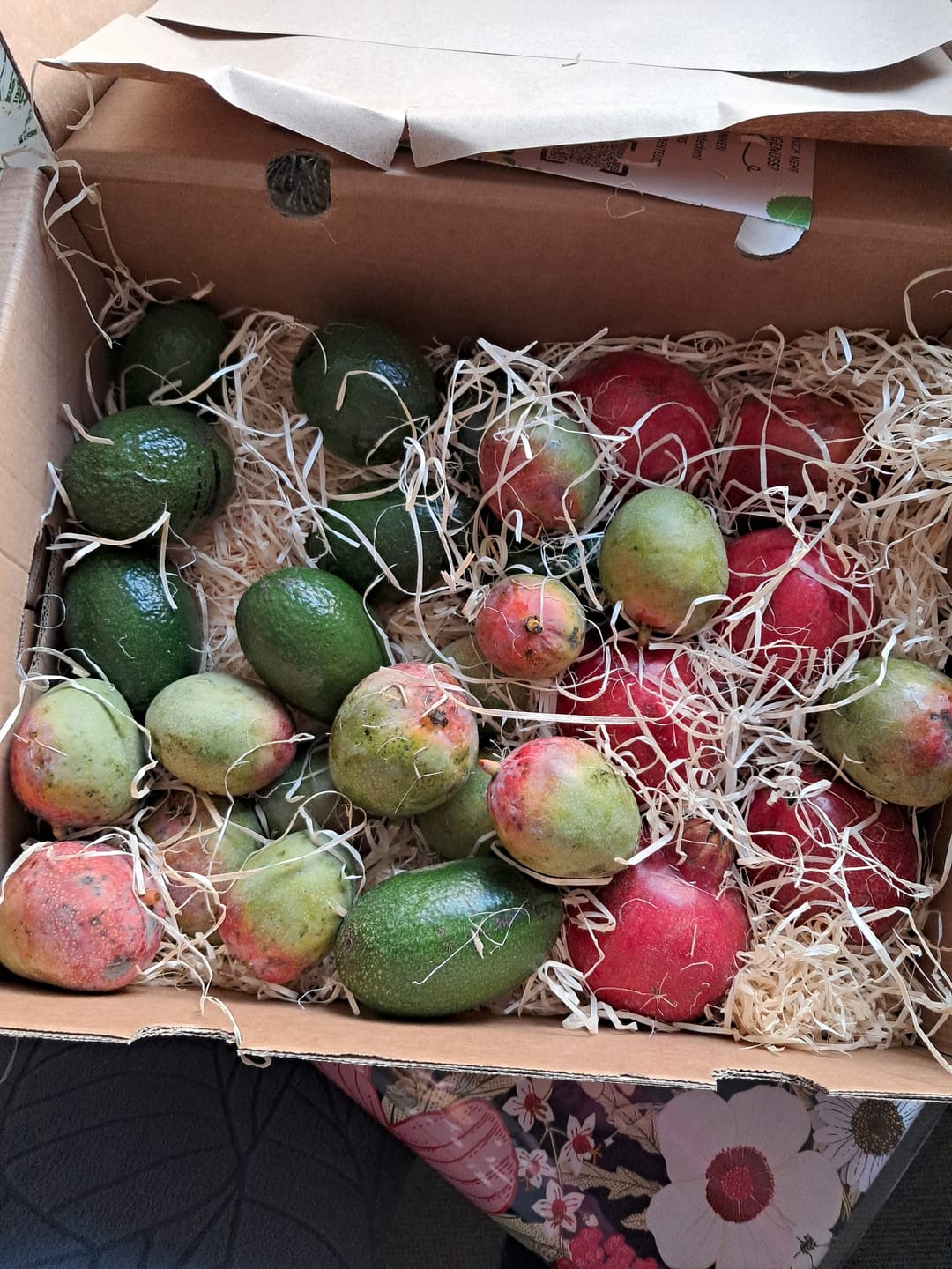Customer photo review of Mini Mango-Avocado-Granatapfel Bio Rettungsaktion % 4kg