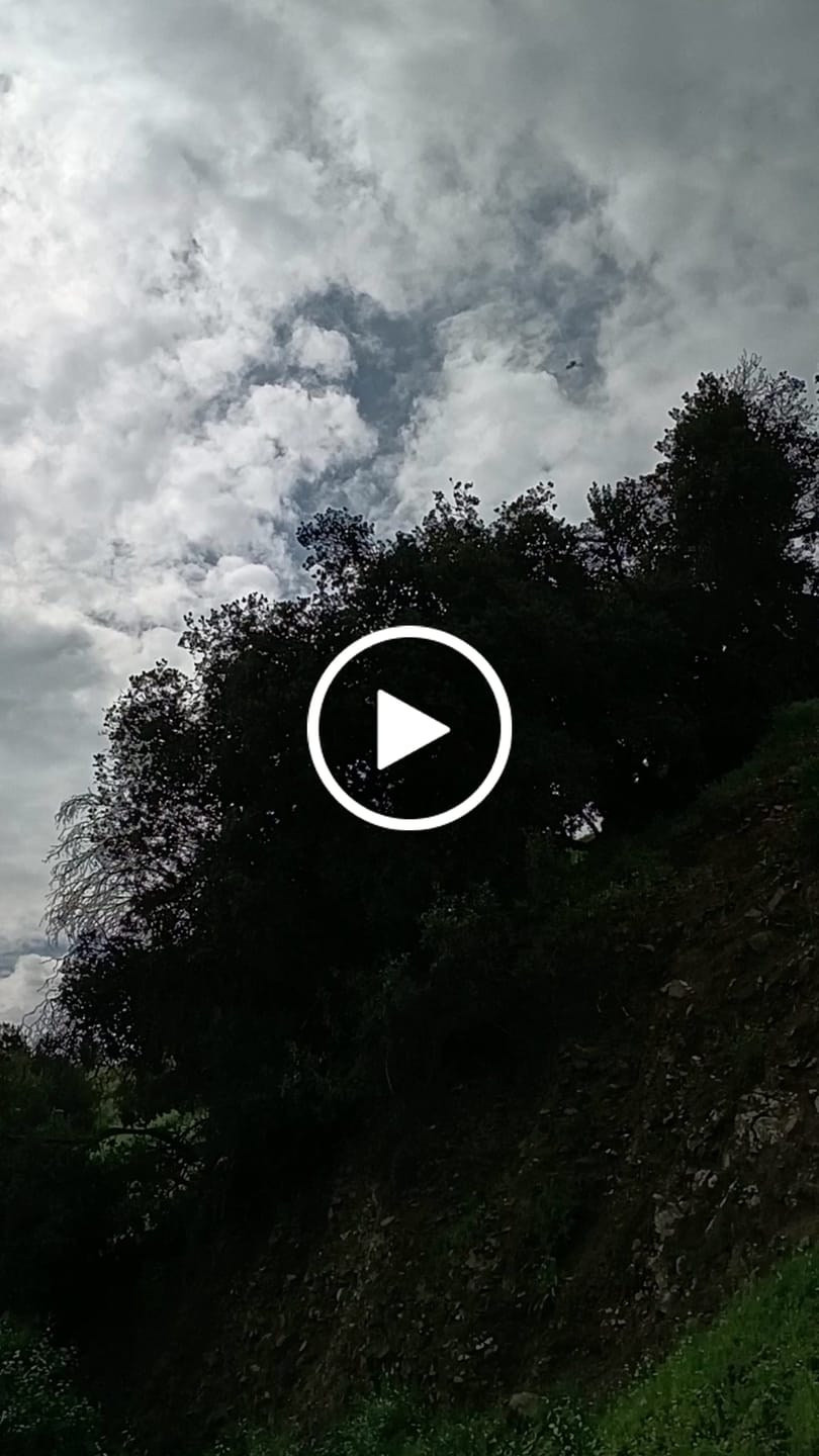 Customer video review of SILLIN TRIP XTC GEL TURQ/BLACK
