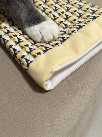 Customer photo review of PawTug™ — The Interactive Beaver Toy for Cats