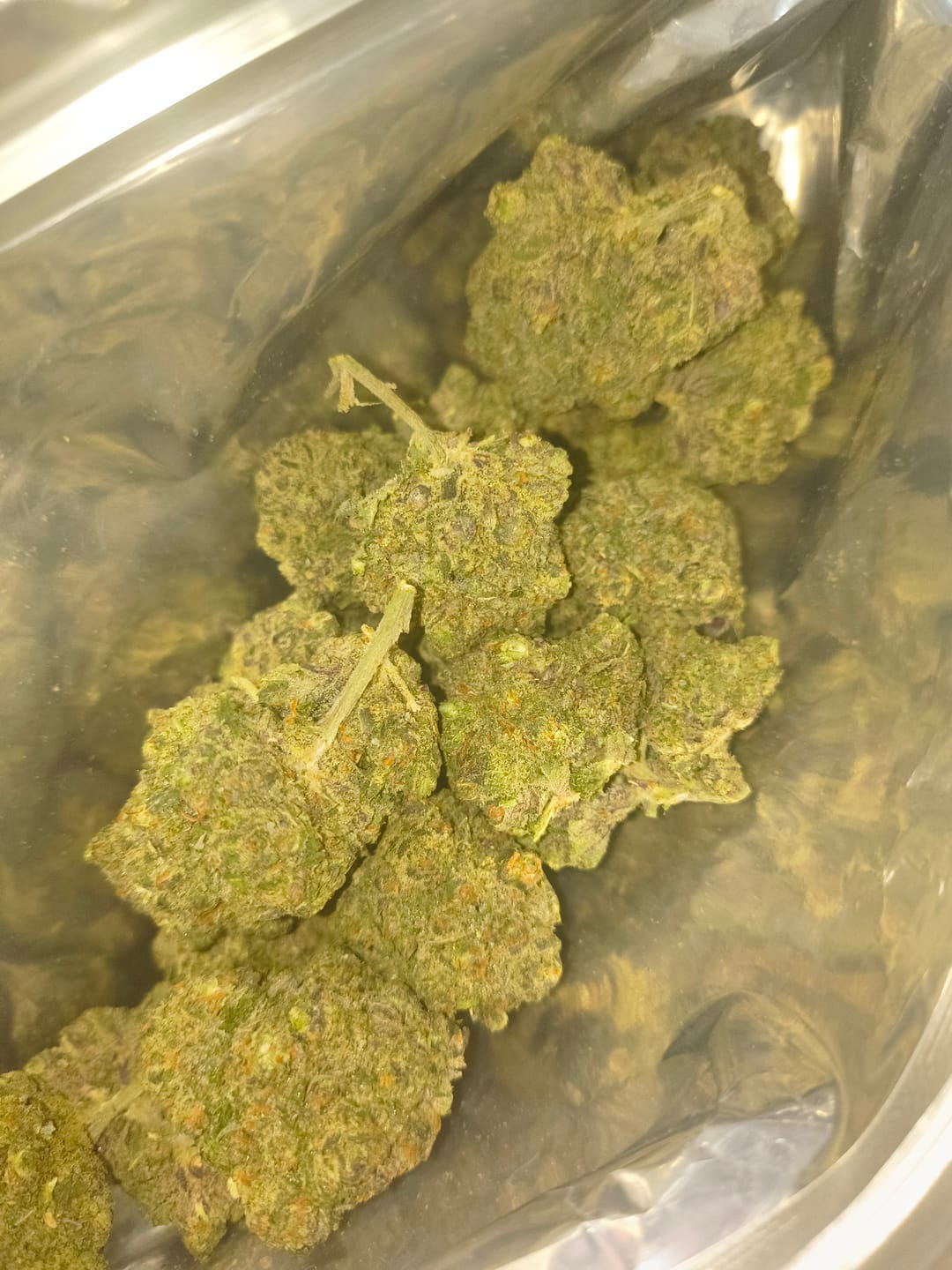 Customer photo review of Cheap Indoor THCA Flower Ounce