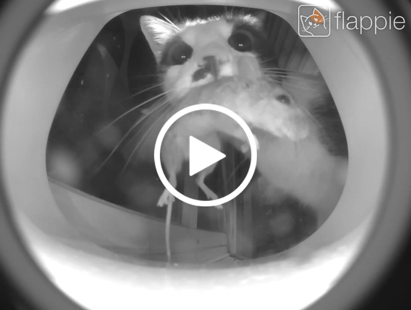 Customer video review of Flappie®