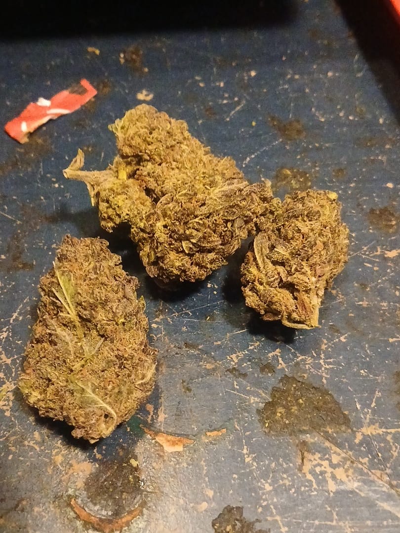 Customer photo review of THCA Queen