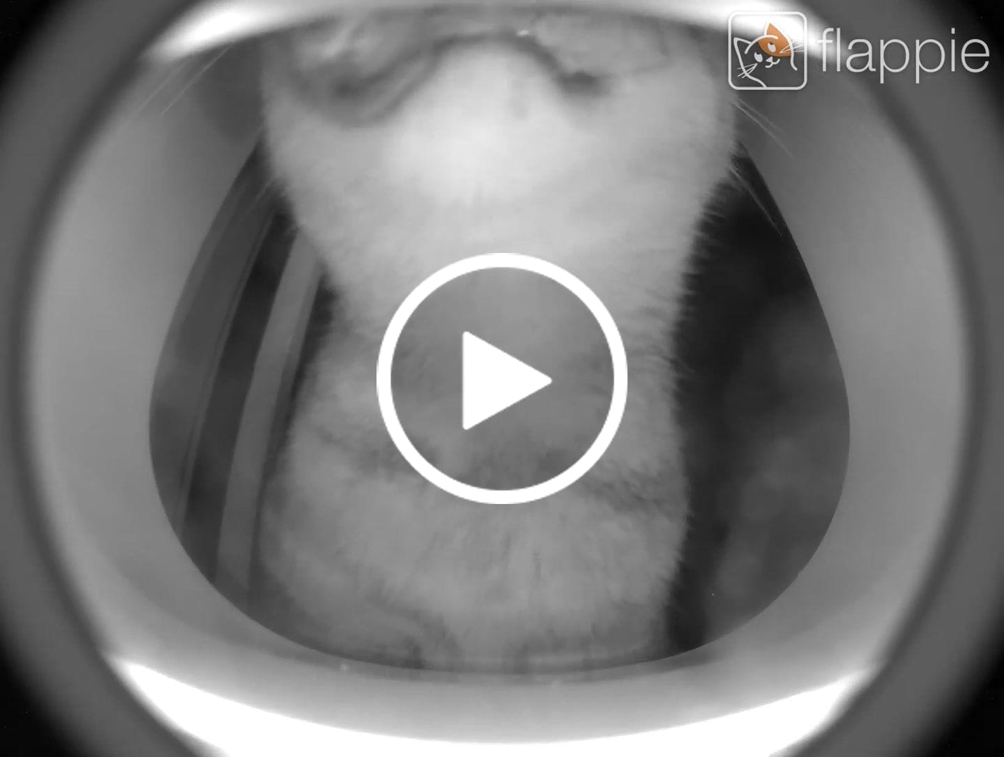 Customer video review of Flappie®