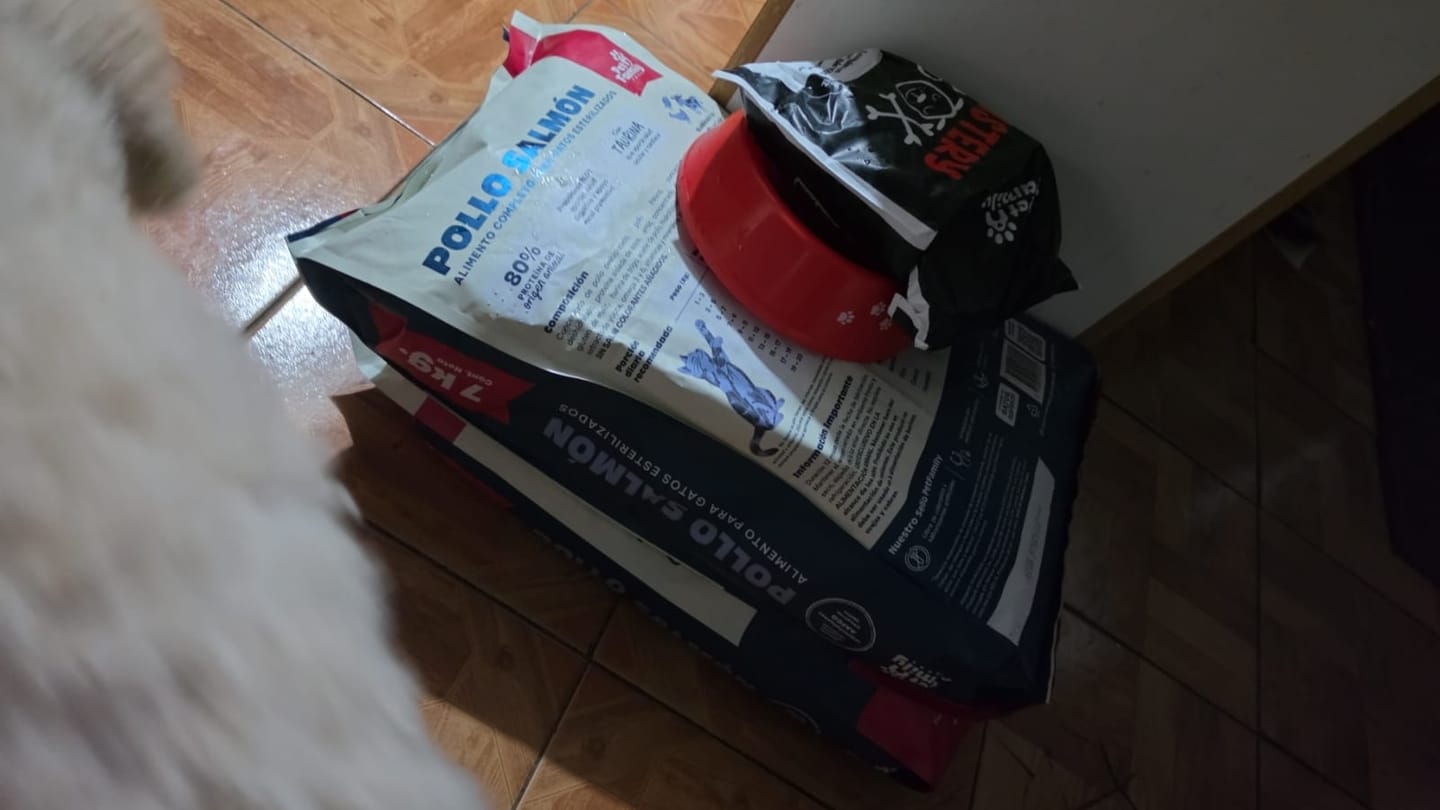 Customer photo review of PetFamily Foods Gato Pollo-Salmón