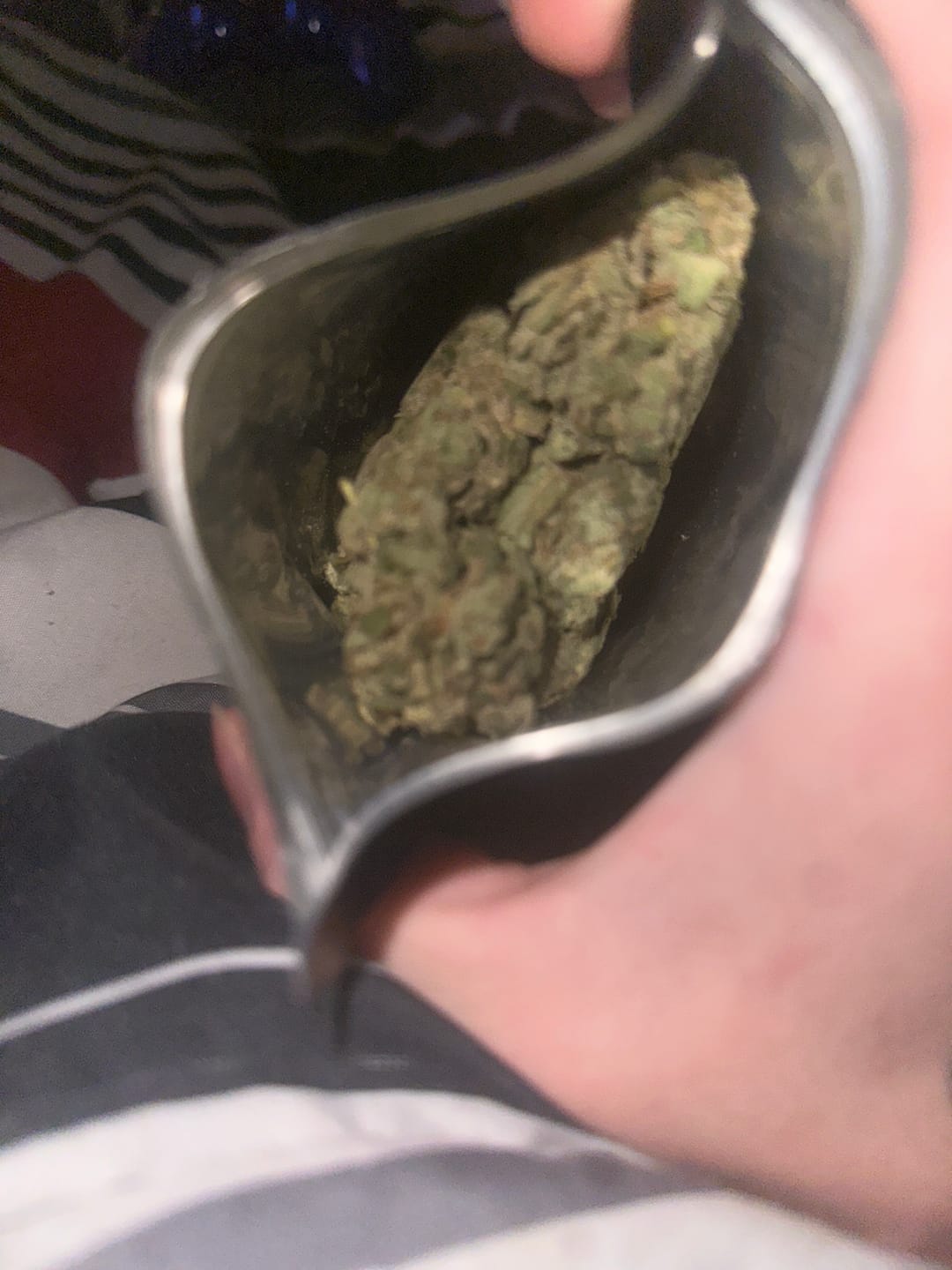 Customer photo review of 4 oz Premium Variety Bundle THCA (Premium)
