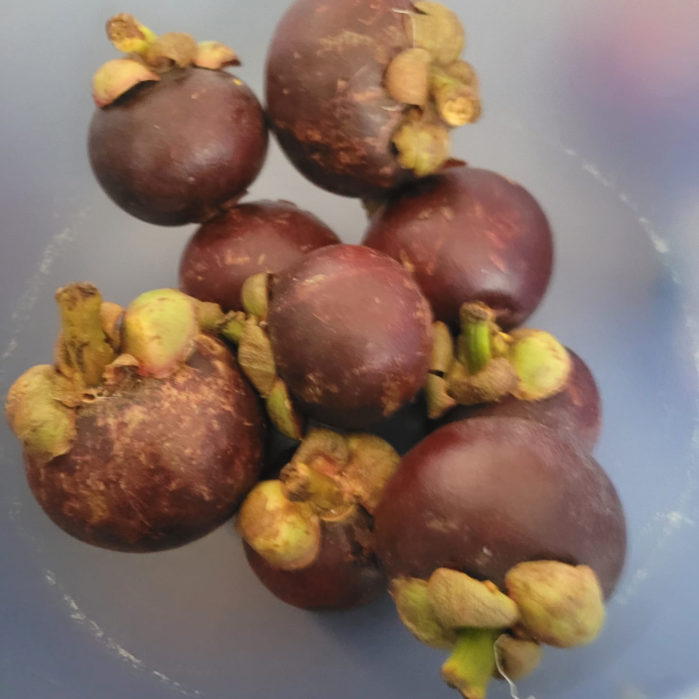 Customer photo review of Mangostan (Mangosteen) Aktion %