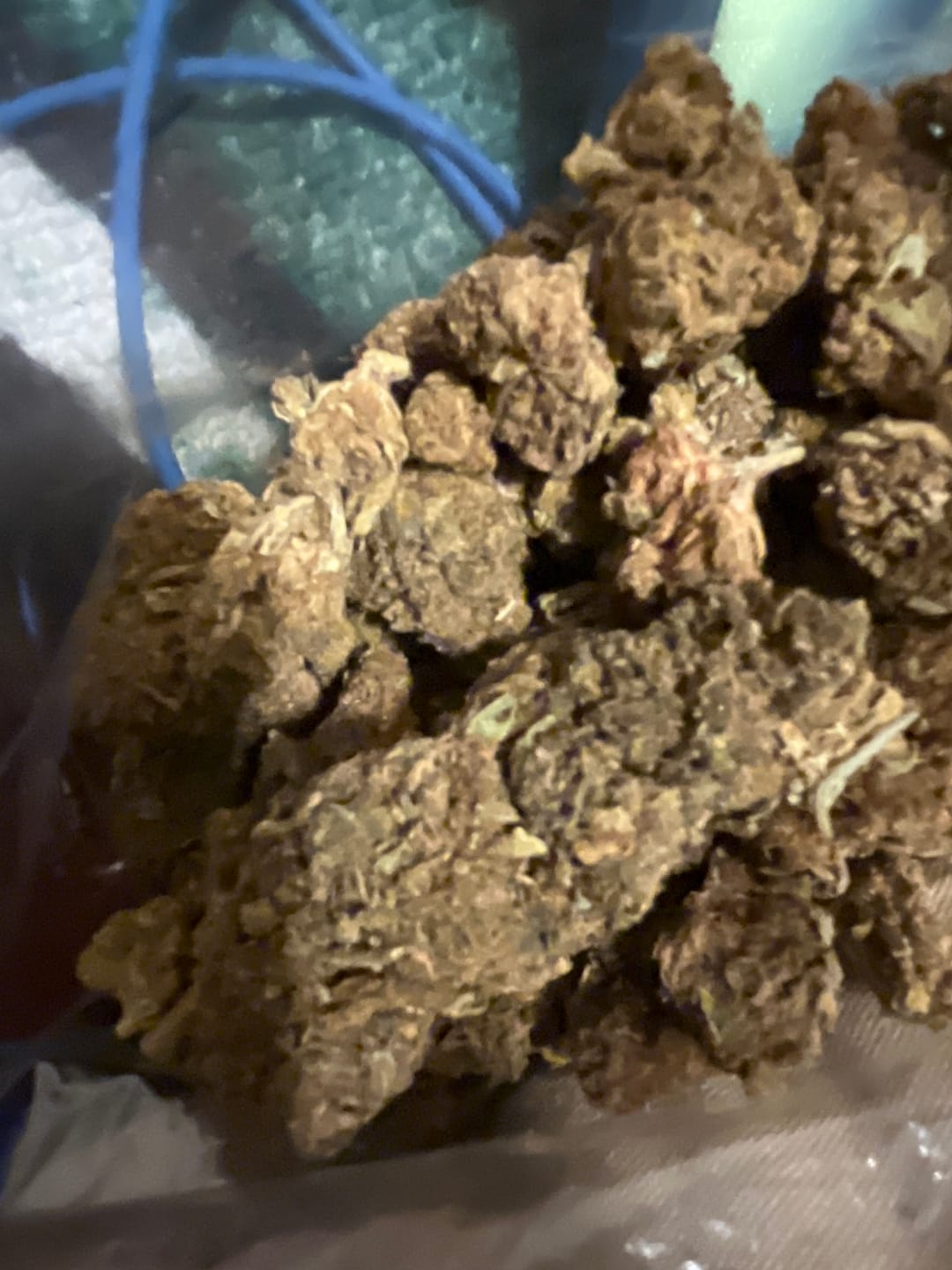 Customer photo review of Cheap THCA Flower Half Pound