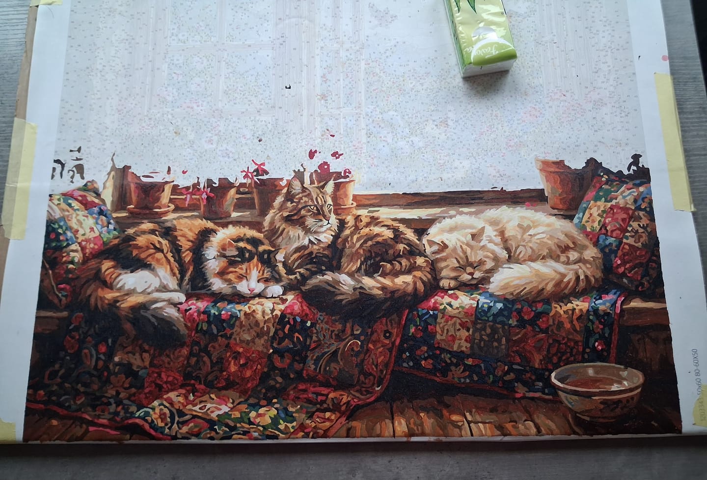 Customer photo review of Sunny Companions