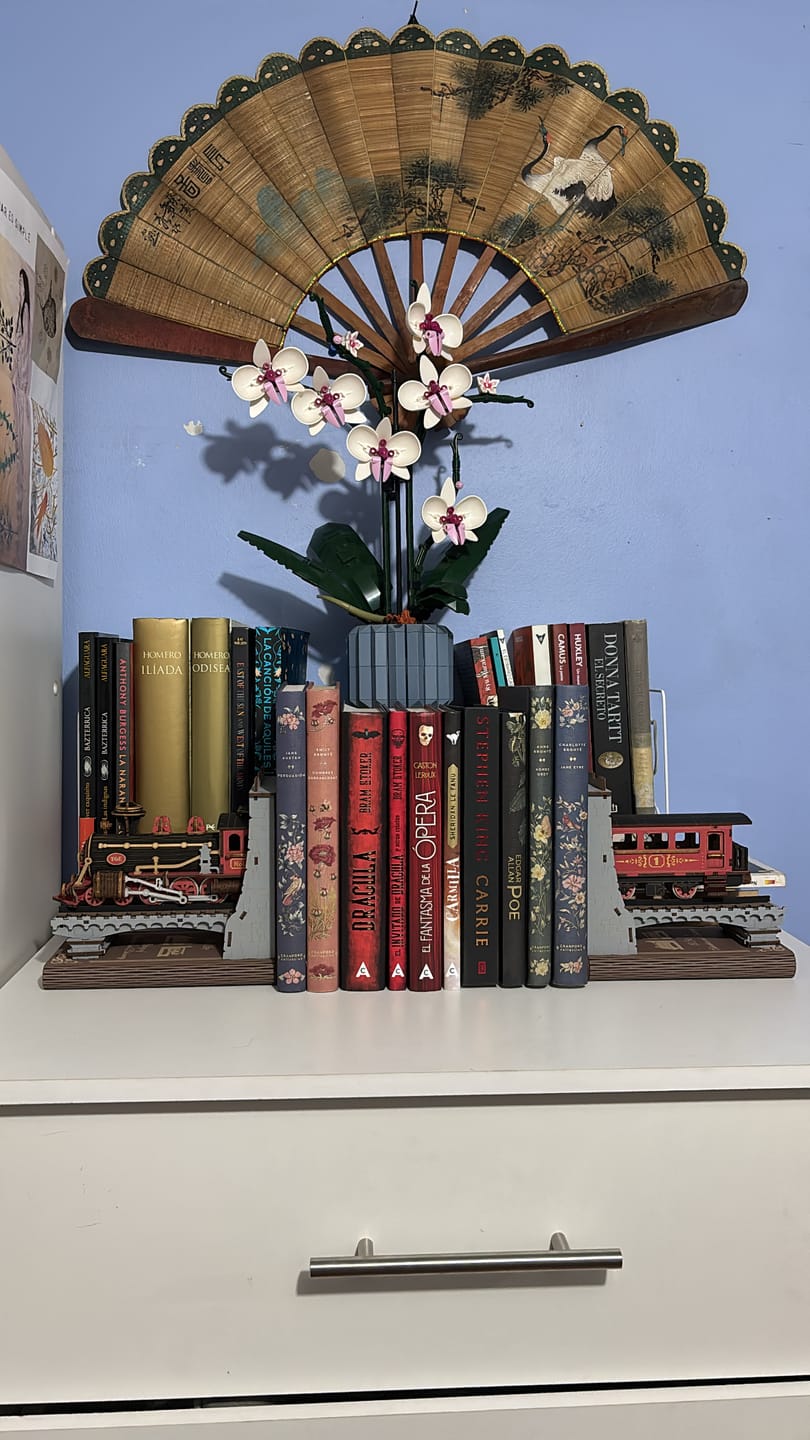 Customer photo review of Rolife Booknook & Wonderland - Separador de Libros Century Train