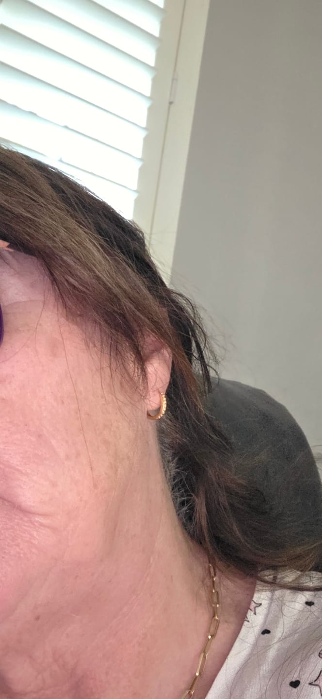 Customer photo review of Small Pave Hoops Gold