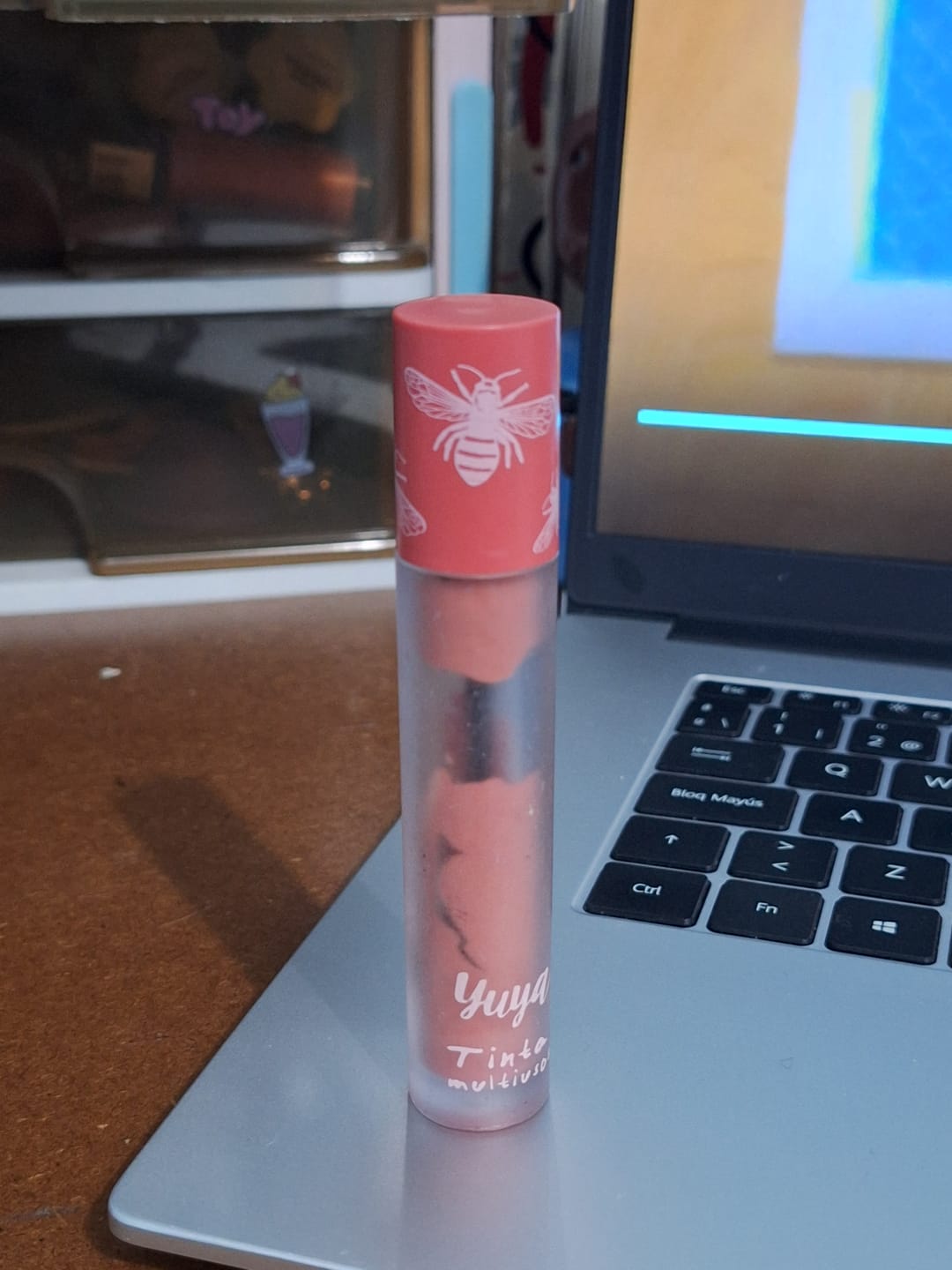 Customer photo review of Tinta Multiusos Ser