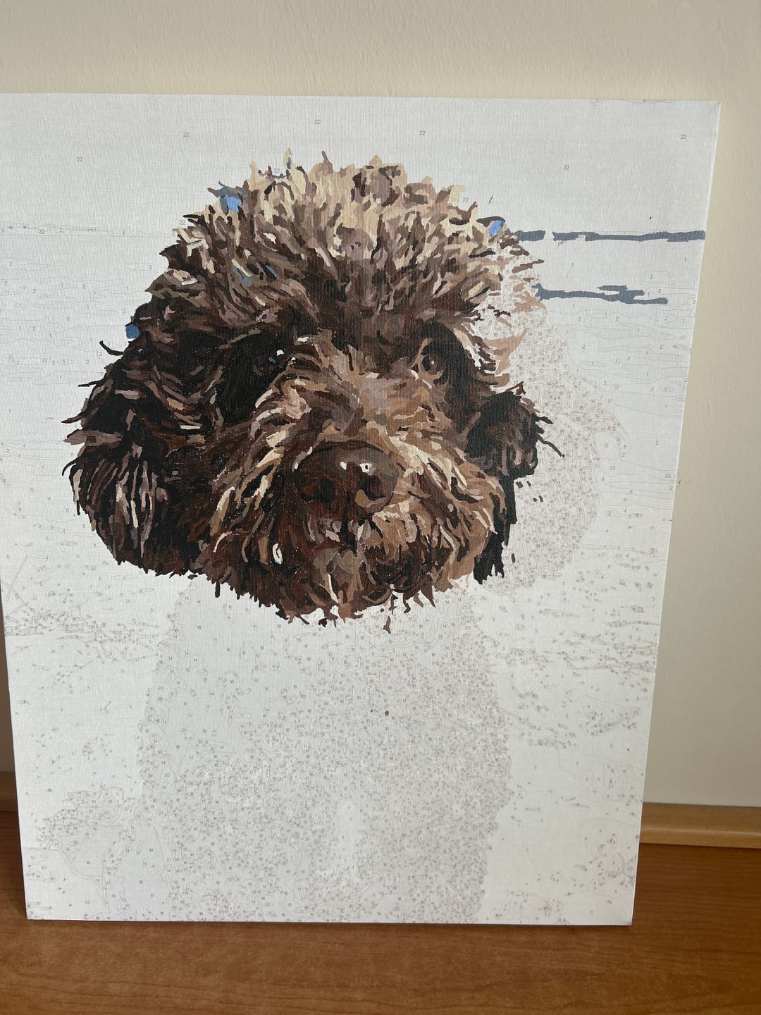 Customer photo review of Custom Paint By Numbers Kit