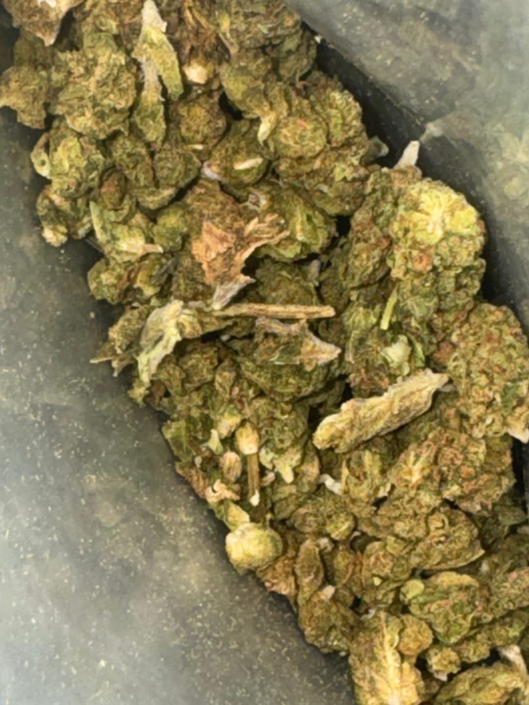 Customer photo review of Puffaroo - Blueberry Headband - 28 Grams - Hybrid