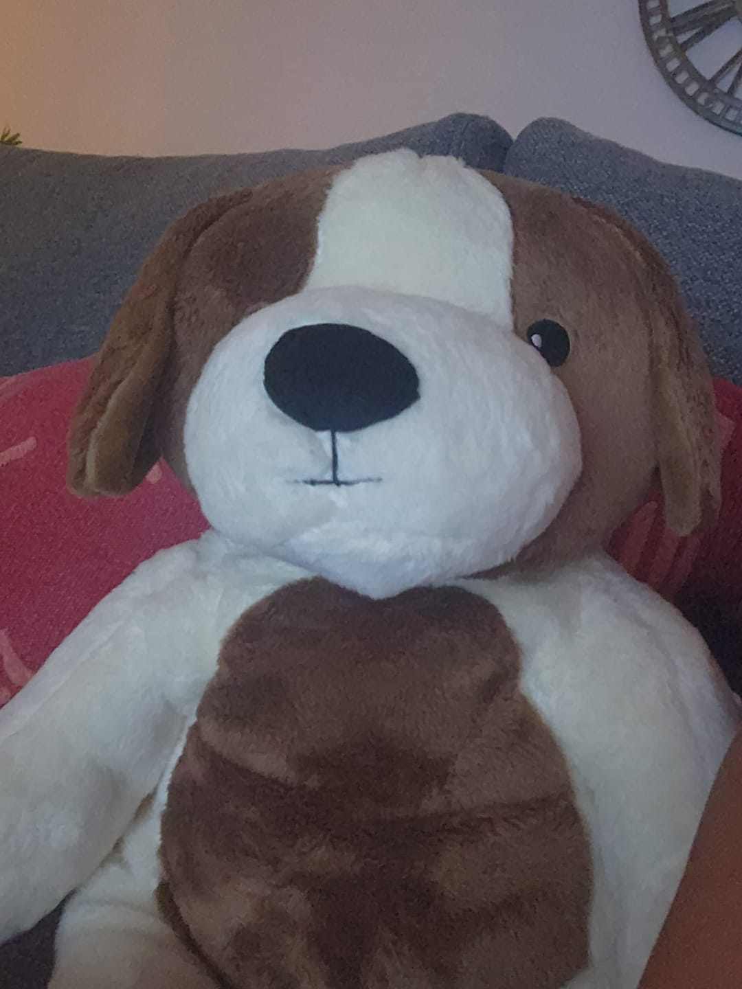 Customer photo review of Lotgenootje Hond 2kg