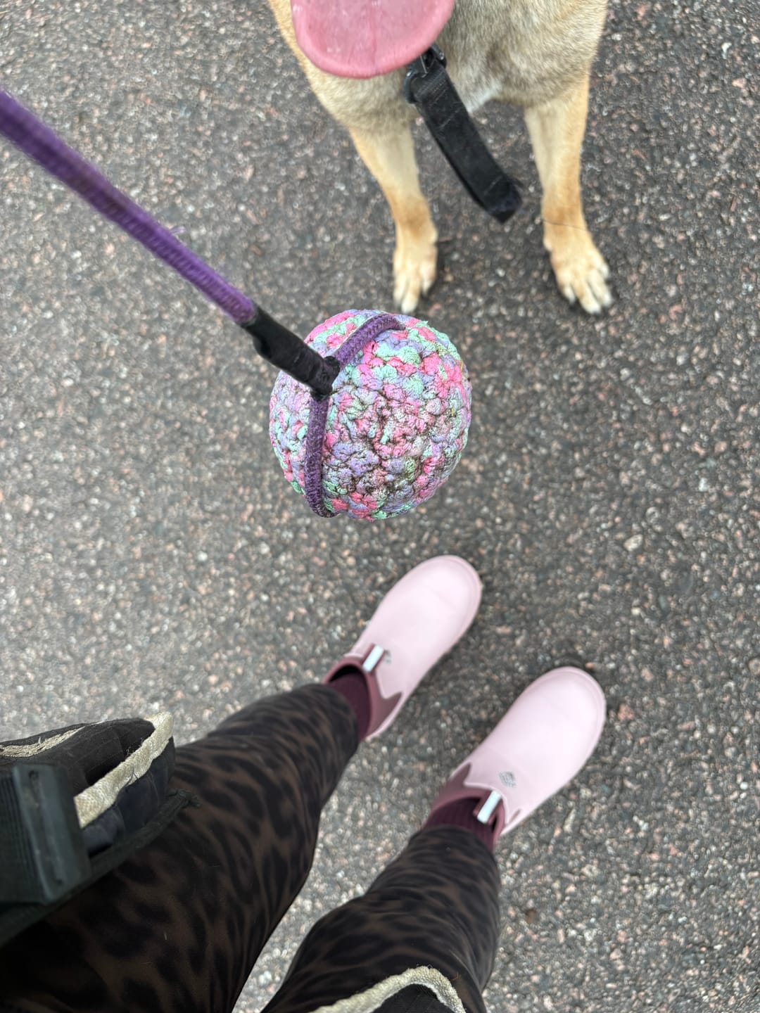 Customer photo review of Women's Rainscape Chelsea Boots