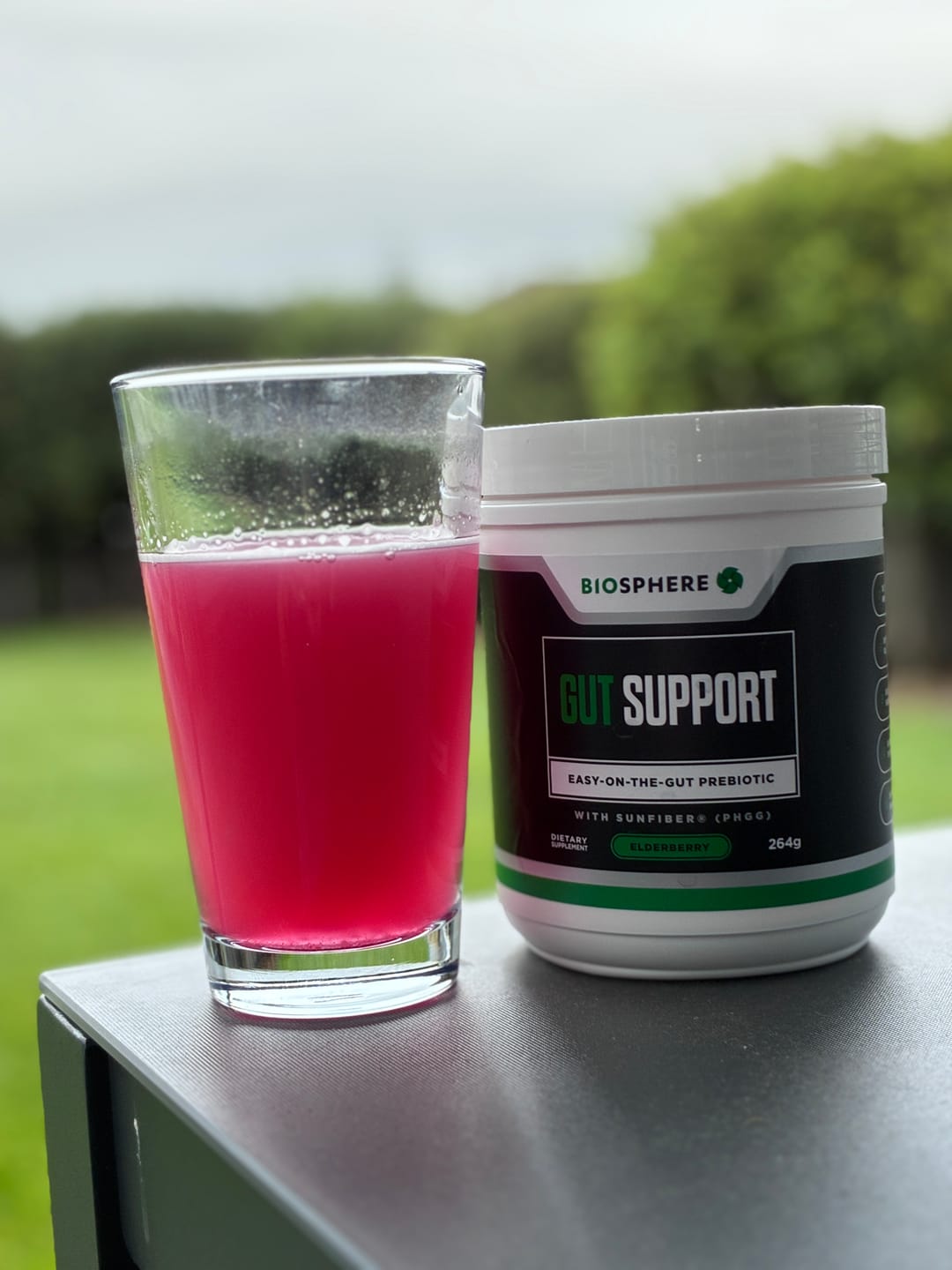 Customer photo review of Gut Support